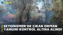 FOREST FIRE IN MUĞLA BROUGHT UNDER CONTROL