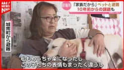 "I want to be together. Because we're family": Applying lessons from 10 years ago to create "pet-...