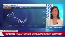 CPI Sets Up ‘Risk Management Hikes’ for Fed, Pimco’s Wilding Says