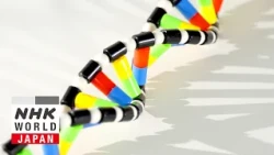 Hope for ALS and Beyond: Nucleic Acid Therapeutics - Medical Frontiers