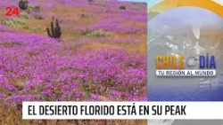 Chile Daily: Atacama Region 10/21/2026