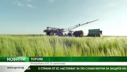 ТОРОВЕ: Употребата в ЕС се увеличава