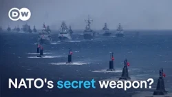 How Turkey became indispensable to NATO | DW News