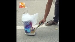 মেহেরপুর শহরের তিন স্থানে বো'মা'সদৃশ বস্তু উদ্ধার, চাঞ্চল্য | Mohona TV