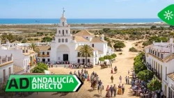 Andalucía Direct | Tuesday, August 4th