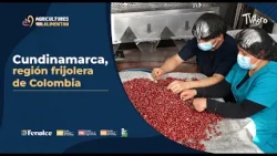 Conoce Cundinamarca, región frijolera de Colombia- TvAgro por Juan Gonzalo Angel