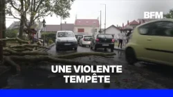 Rain, gusts, fallen trees: stunning footage of the storms in the Paris region
