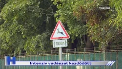 Intenzív vadászat kezdődött – ZTV Híradó 2026-09-03