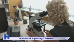 Kezdődik a parlagfűszezon – ZTV Híradó 2026-08-13