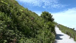 Today is "Mountain Day"