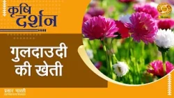 Krishi Darshan | Chrysanthemum Farming | DD Kisan | July 27, 2026