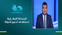Mahmoud Basyouni: The terrorist group is targeting the Egyptian state not militarily, but by brin...