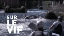 Captured on the fly: September 3, 2026