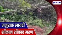 Worker Dies of Electric Shock