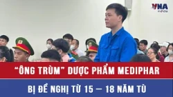 Mediphar pharmaceutical "kingpin" faces 15–18 years in prison - VNAMedia