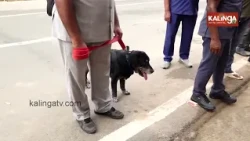 Security Tightened with Bomb and Dog Squads Ahead of Independence Day | Kalinga TV