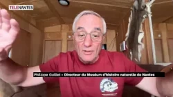 MUSEUM: ON THE TRAIL OF DINOSAURS IN THE UNITED STATES