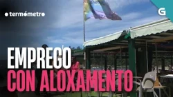 EMPREGO con ALOXAMENTO | O TERMÓMETRO