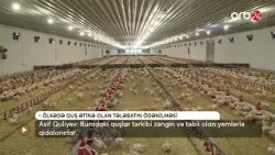 Masallıda illik quş əti istehsalı 3 min tondur