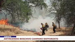 ENVIRONMENT. CAMPANIA FOREST FIRE PREVENTION STRENGTHENED