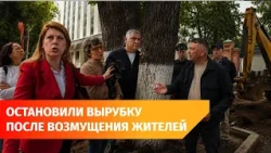 Ufa residents demand to save linden trees on Sovetskaya Street, halt redevelopment project