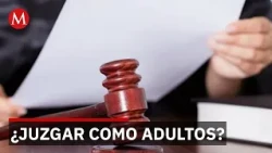 Lawmakers seek to reform the law so minors face adult sentences for high-impact crimes
