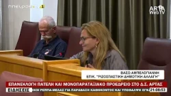 ΕΠΑΝΕΚΛΟΓΗ ΠΑΤΕΛΗ ΚΑΙ ΜΟΝΟΠΑΡΑΤΑΞΙΑΚΟ ΠΡΟΕΔΡΕΙΟ ΣΤΟ Δ Σ  ΑΡΤΑΣ