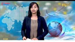 News in English for August 14, 2026 - ERi-TV, Eritrea
