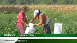 ГРАДИНАРСТВО: Проблемите с работната ръка все още чакат решение