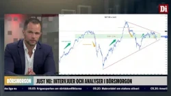 Tradern: "Guldet kan dubblas härifrån"