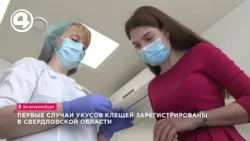 The first ticks have attacked residents of Sverdlovsk – two bites have already been recorded.