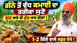 🚜 How Farmers Can Get More Income with 🌾Sugarcane & Jaggery | ਗੰਨਾ ਬੀਜਣ ਦਾ ਸਹੀ ਤਰੀਕਾ ਕੀ !