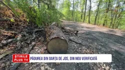 PĂDUREA DIN OARȚA DE JOS, DIN NOU VERIFICATĂ