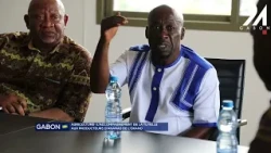 GABON AGRICULTURE: GOVERNMENT SUPPORT FOR OKANO PINEAPPLE FARMERS
