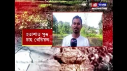 বানৰ পিছত চাহ খেতিয়কৰ বিলৈ। বিঘাই বিঘাই মৰিছে চাহগছ।
