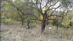 Oberačka vo farskej záhrade
