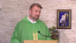 Homilie ze mše svaté 19.7.2026, P. Marián Pospěcha