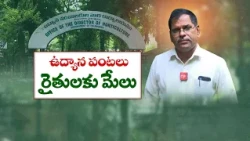 సూపర్ ఎల్‌నినో ఎఫెక్ట్.. వరి, పత్తికి బదులు కూరగాయల సాగుపై సర్కార్ ఫోకస్