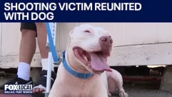 Prairie Creek Road shooting victim reunited with dog