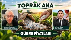 FERTILIZER PRICES | MOTHER EARTH