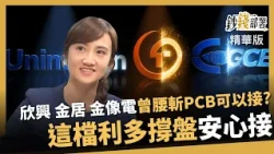 【精華】欣興、金居、金像電 腰斬後能接？廖婉婷點名這檔有利多撐盤 《鈔錢部署》盧燕俐 ft.廖婉婷  20260809
