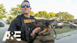 Live PD: Greatest Shifts — Wanted Man Climbs Out Window, Lands in the Doghouse | A&E