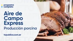 Pork consumption has tripled in the last 20 years - Aire De Campo Express