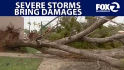 Severe weather brings damages | West Coast Wrap