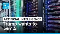 Should the brakes be put on AI? • FRANCE 24 English
