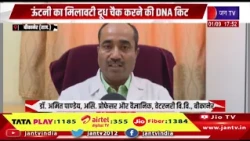 Bikaner News | ऊंटनी के मिलावटी दूध की जांच के लिए DNA किट तैयार, भारत सरकार ने तकनीक को दिया पेटेंट