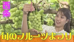 Found a "Tasty Autumn" in Saijo! Enjoy Seasonal Flavors with Grape Picking and Limited-Edition Fi...