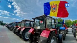 NEWS DIGEST 11.08.2026