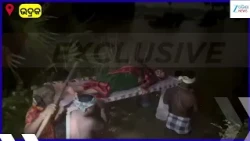 Flood Fury in Bhadrak: ବନ୍ୟା ମଝିରେ ବିକଳ ଚିତ୍ର! ଖଟିଆ ସାଜିଲା ଷ୍ଟ୍ରେଚର, ବନ୍ୟାପାଣିରେ ବୁହାହେଲେ ଗର୍ଭବତୀ