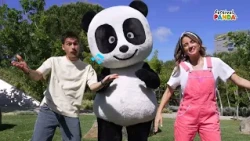 PANDA FLASH 📸 | PANDA FESTIVAL 2026